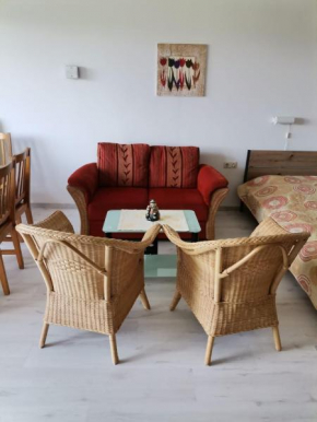 Rolligerechtes Appartement mit Terrasse und Garten